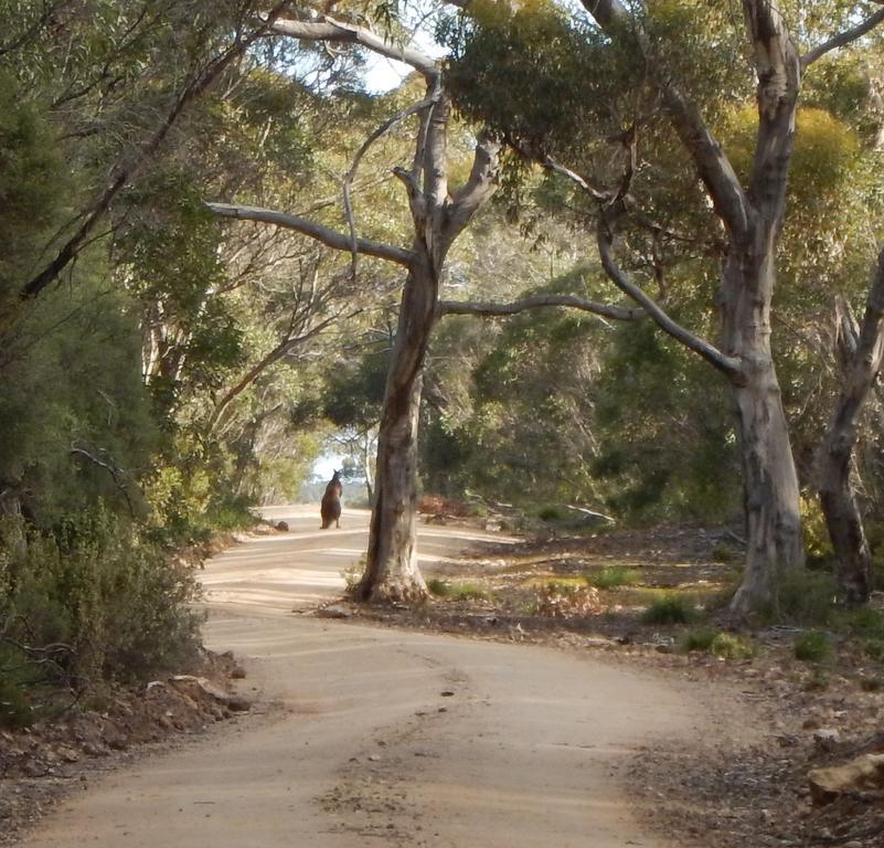 Kangaroo Island Wilderness Retreat Flinders Chase Eksteriør billede