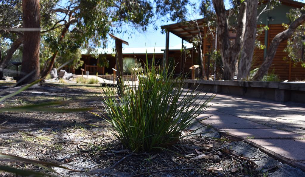 Kangaroo Island Wilderness Retreat Flinders Chase Eksteriør billede