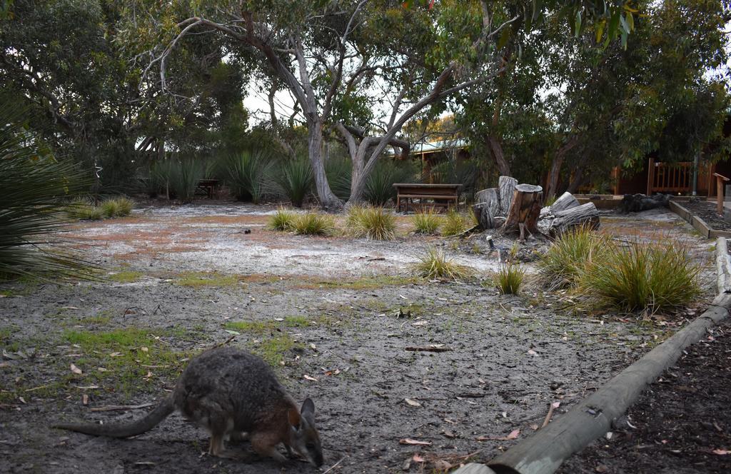 Kangaroo Island Wilderness Retreat Flinders Chase Eksteriør billede