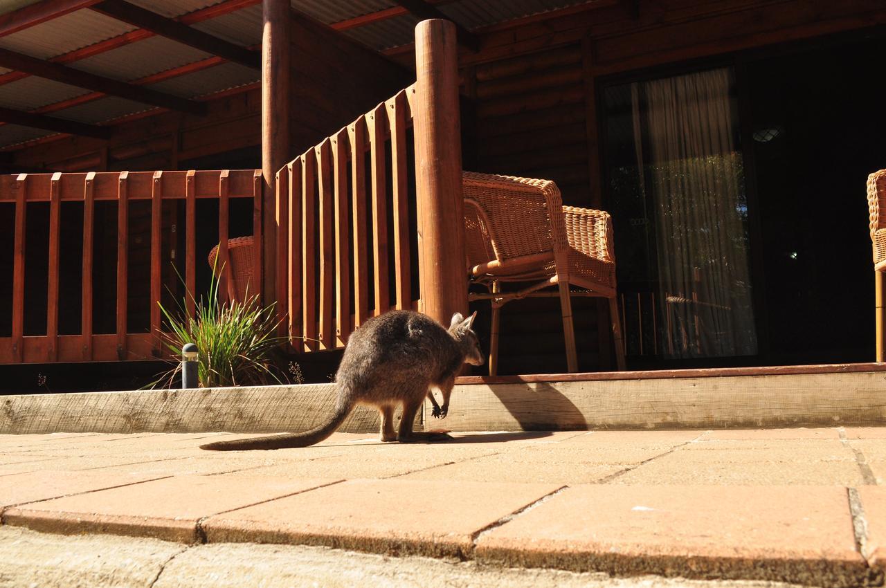 Kangaroo Island Wilderness Retreat Flinders Chase Eksteriør billede