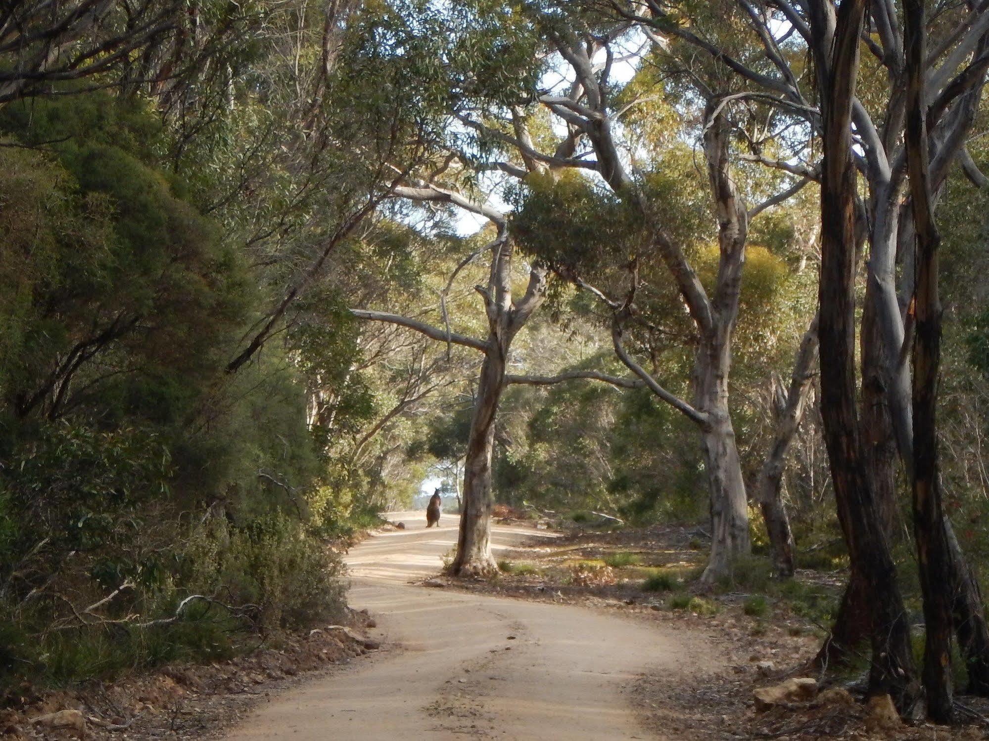 Kangaroo Island Wilderness Retreat Flinders Chase Eksteriør billede