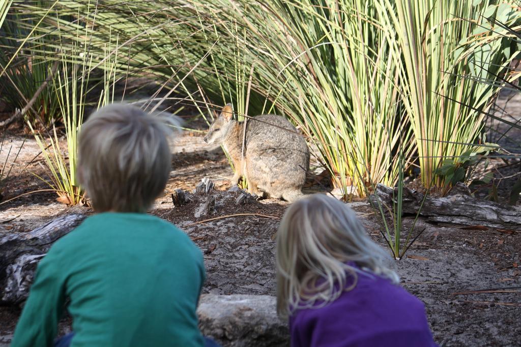 Kangaroo Island Wilderness Retreat Flinders Chase Eksteriør billede